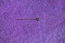 Obrázek k výrobku 16610 - Fluorescentní glitr fialový, prům. 0,2 mm